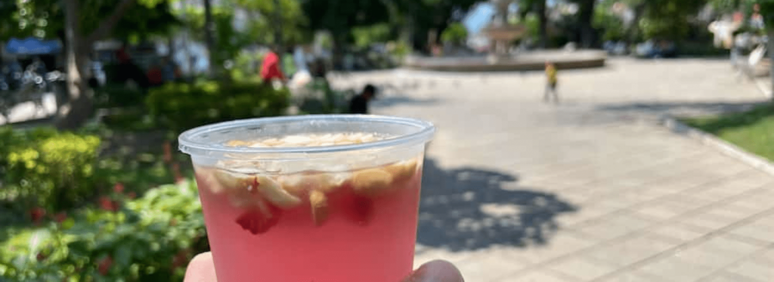 Platillos que debes probar si visitas Colima America Car Rental